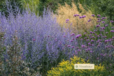 VIZUALIZACE: sporýš, zlatobýl, metlici trsnatou a perovskie