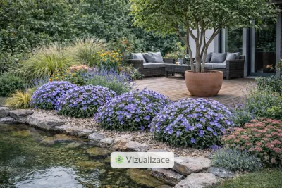 VIZUALIZACE: hvězdnice, rozchodník, levandule, ozdobnice čínská, levandule aj.