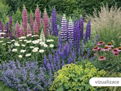 VIZUALIZACE -  lupiny, nepeta, kontryhel, třapatky, třtina rákosovitá a rozrazil dlouholistý