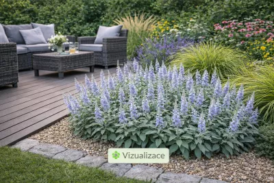 VIZUALIZACE: rozrazil šedý, dochan, třapatka, levandule, třtina ostrokvětá