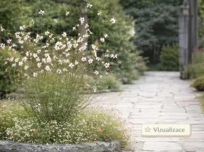 VIZUALIZACE: svíčkovec jako solitéra