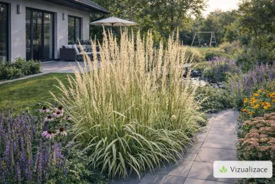 VIZUALIZACE: třtina ostrokvětá, třapatky, rozchodník, agastache aj.